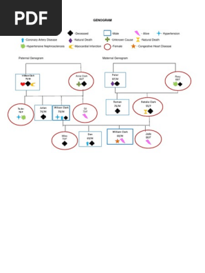 Genogram--
