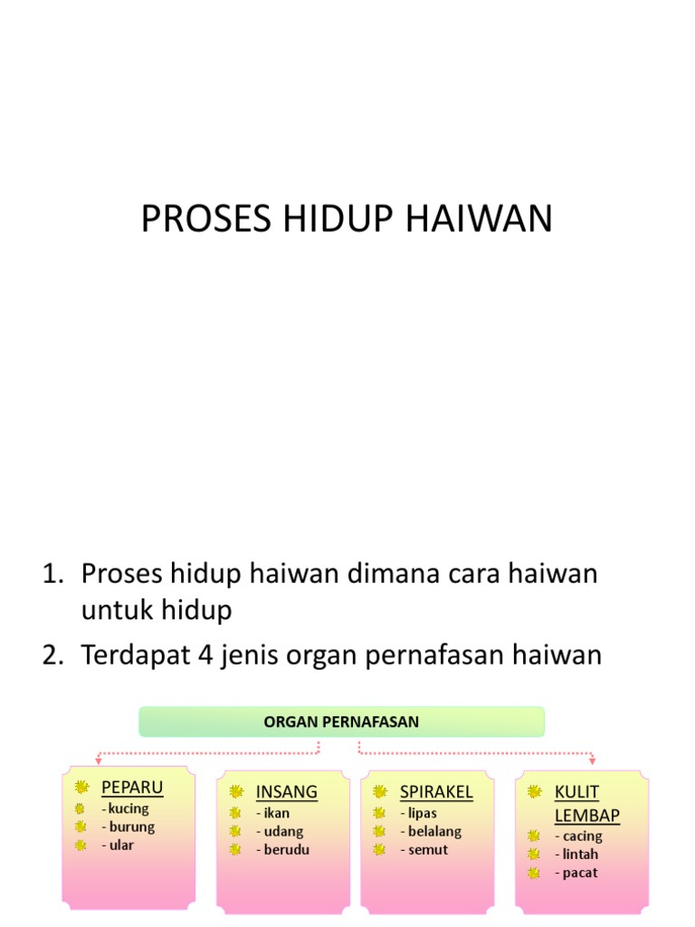 Sains Tahun 5 Proses Hidup Haiwan Pdf