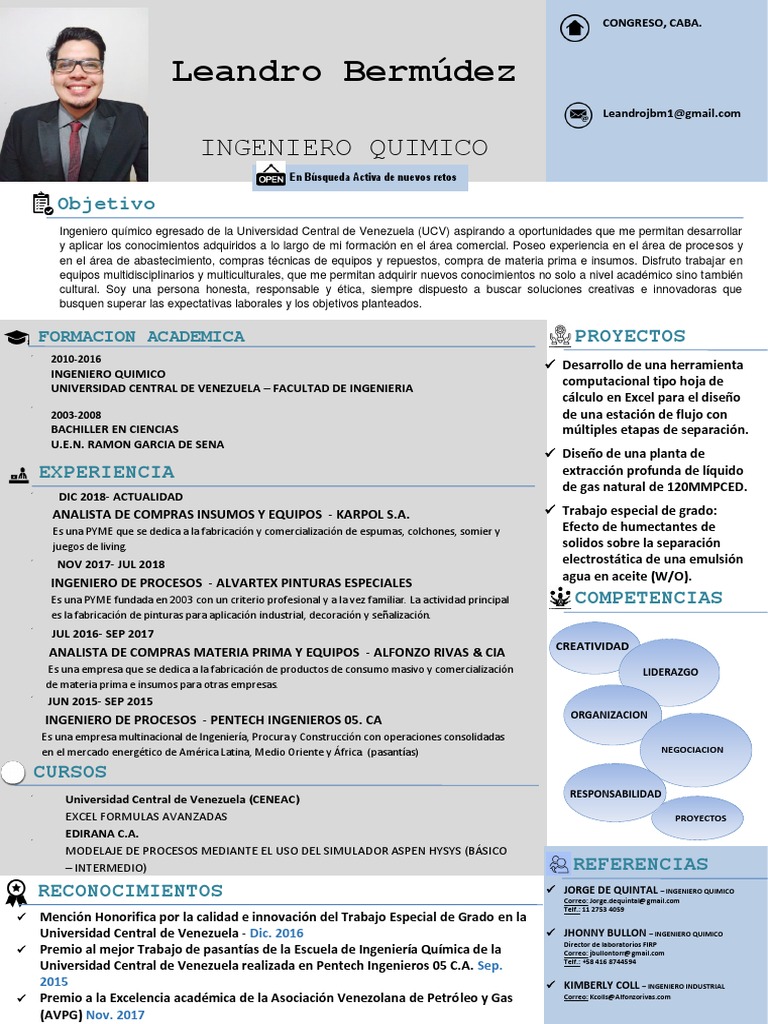 Currículum Vitae | PDF | Ingeniería Química | Ingeniería, image size:768x1024