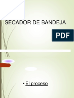 Secador de bandeja: proceso y equipo para secado