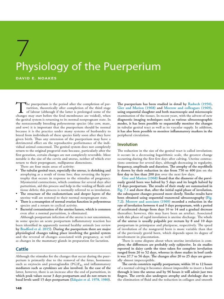 Physiology of the Puerperium: Involution and Return to Normalcy | PDF ...