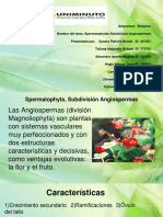 spermatophytas subdivision angiospermas.pptx