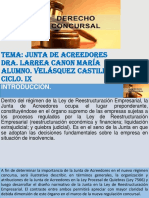 Velasquez_Castillo.pptx