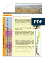 Ficha Quillay Metodo de Propagacion PDF