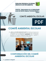 Comité Ambiental Escolar