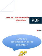 Vías de Contaminación de Los Alimentos PDF