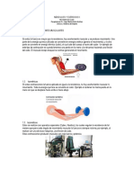 Músculos y Ejercicio II