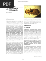 Melophagus Ovinus Articulo 1