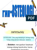 Osteologi AnVet - Pps
