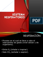 Sistema Respiratorio