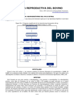 71-fisiologia_reproductiva_del_bovino.pdf