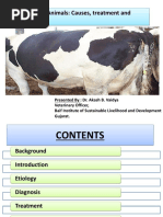 Locating Cattle and Sheep Injection Sites | PDF | Injection (Medicine ...