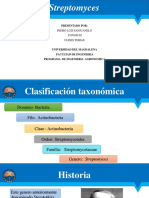 Streptomyces 1a