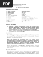 Silabo Por Competencia Exploraciòn Geologica 