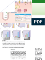 Review: Whole-Cell cAMP and PKA Activity Are Epiphenomena, Nanodomain Signaling