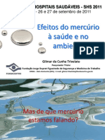 Palestra 1a Gilmar da Cunha Trivelato.pdf