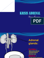 Adrenal Crisis