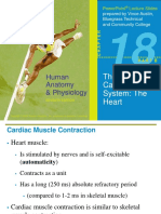 The Cardiovascular System: The Heart: Human Anatomy & Physiology