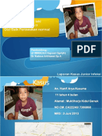 PPT DHF