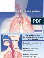 humedad pulmonar