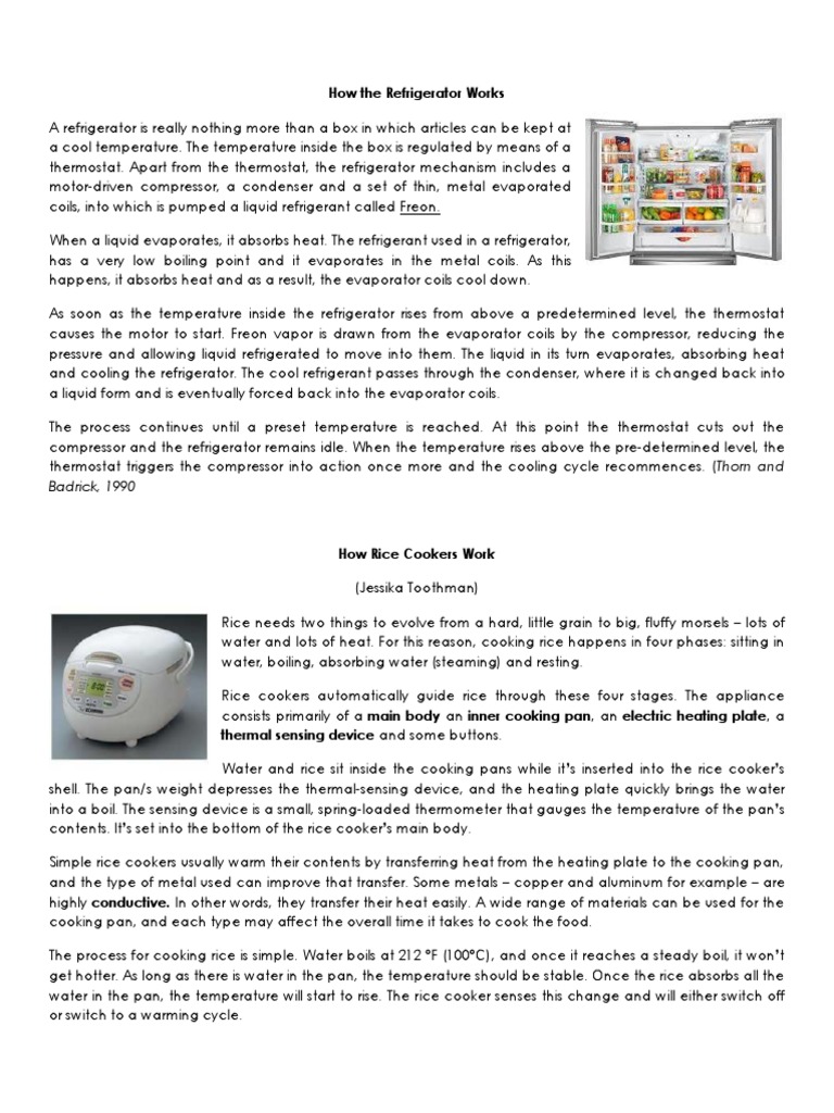 How The Refrigerator Works Pdf Refrigerator Evaporation