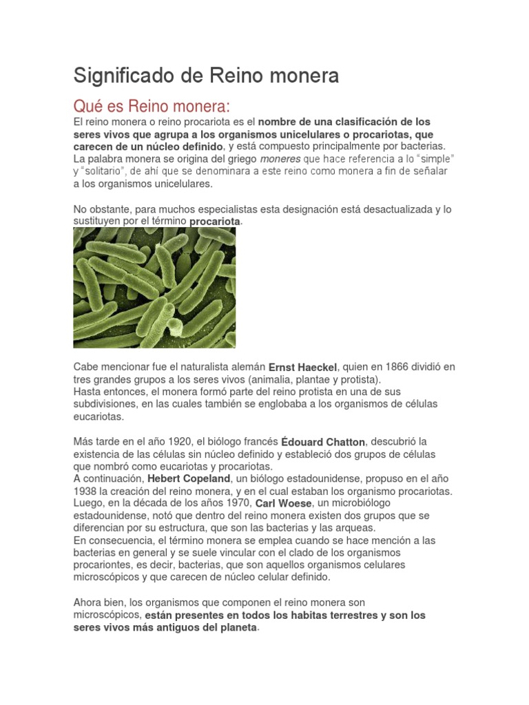 Introducción al Reino Monera | PDF | Hongo | Respiración