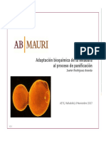 Levaduras-Adaptación-bioquímica-de-la-levadura-al-proceso-de-panificación-.-Javier-Rodríguez.-AB-MAURI.pdf