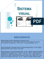 Sistema visual