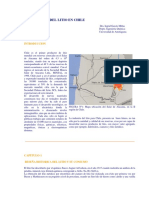 Litio y derivados.pdf
