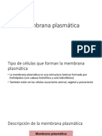 Membrana plasmática: estructura, función y tipos de células