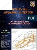 Anatomia Del Plexo Braquial