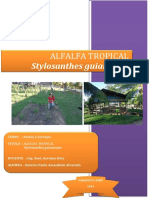 322124877-Alfalfa-Tropical-Pastos.pdf