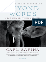 Beyond Words by Carl Safina Excerpt