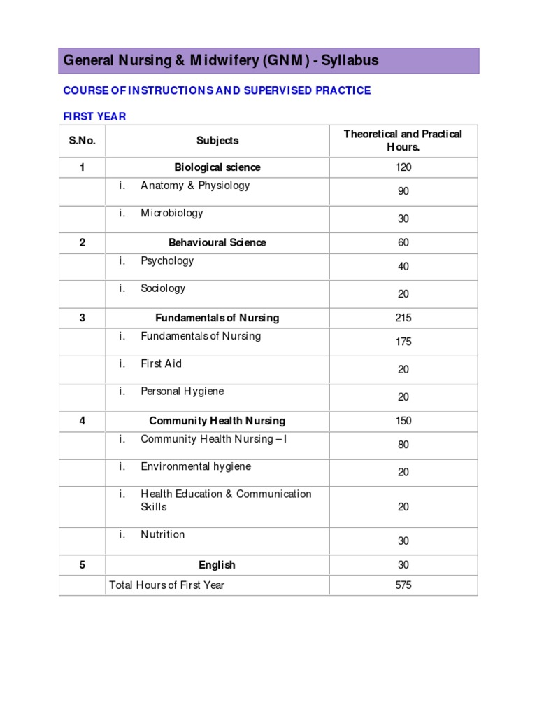 Gnm Syllabus Pdf Nursing Economics