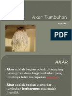 akar-1.ppt