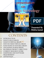 Blue Brain Technology