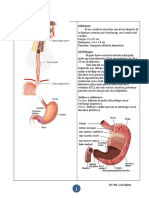 GASTRITIS