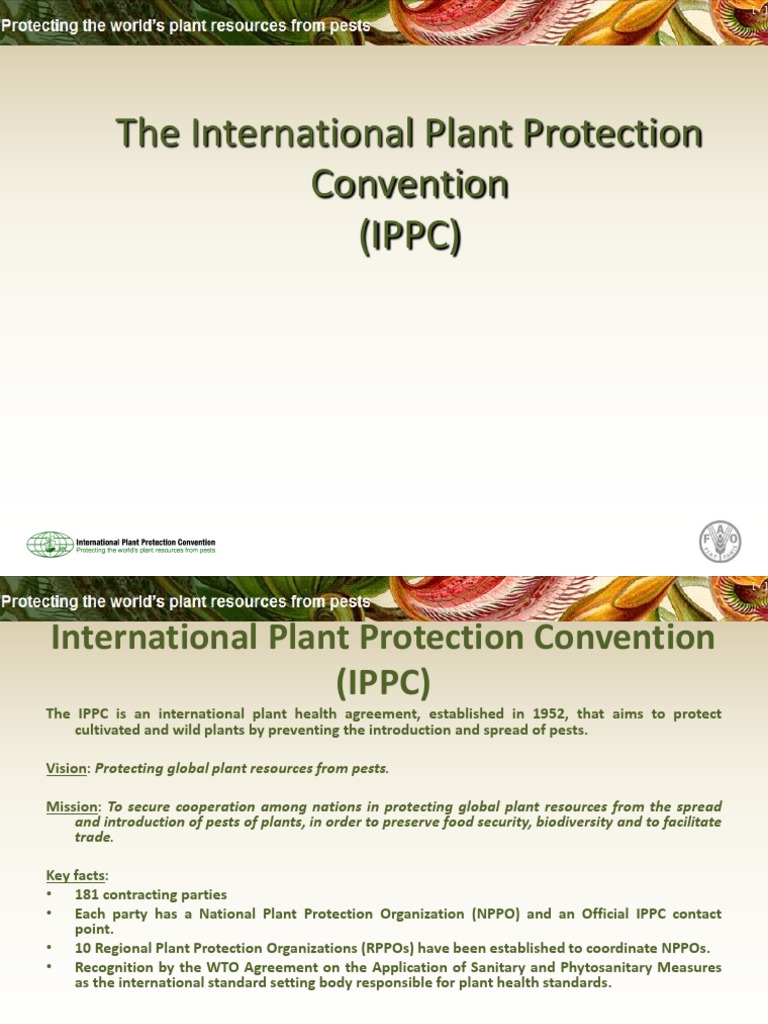 Overview of the International Plant Protection Convention | PDF | Business