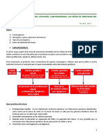 Tema 02. Etiología y Biología Del Cáncer