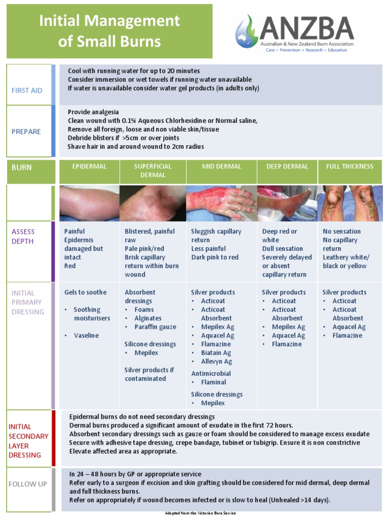 Initial Management of Small Burns First Aid PDF Burn Medical Specialties