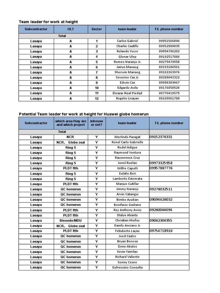 Namelist With Height Helmet For Homerun Project | PDF | Business