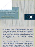 Micropaleontologia y Palinologia