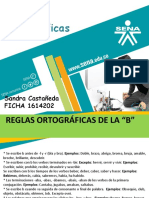 Reglas Ortograficas Sena 