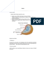 bakteri.pdf