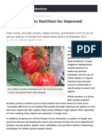 Refining Tomato Nutrition For Improved Packouts