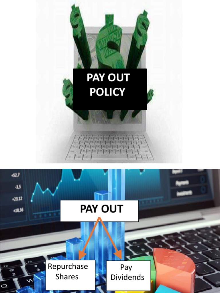 Dividend & Stock Repurchase Guide | PDF | Share Repurchase | Dividend