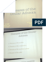 Disease of The Ocular Adnexa