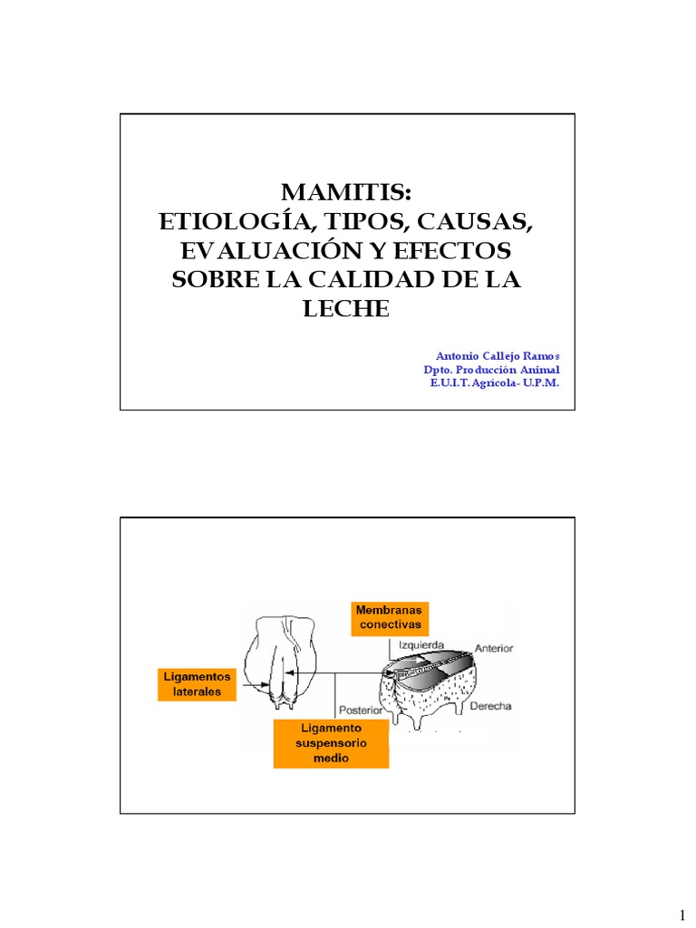 Mamitis: Tipos y Efectos en Leche | PDF | Inflamación | Leche