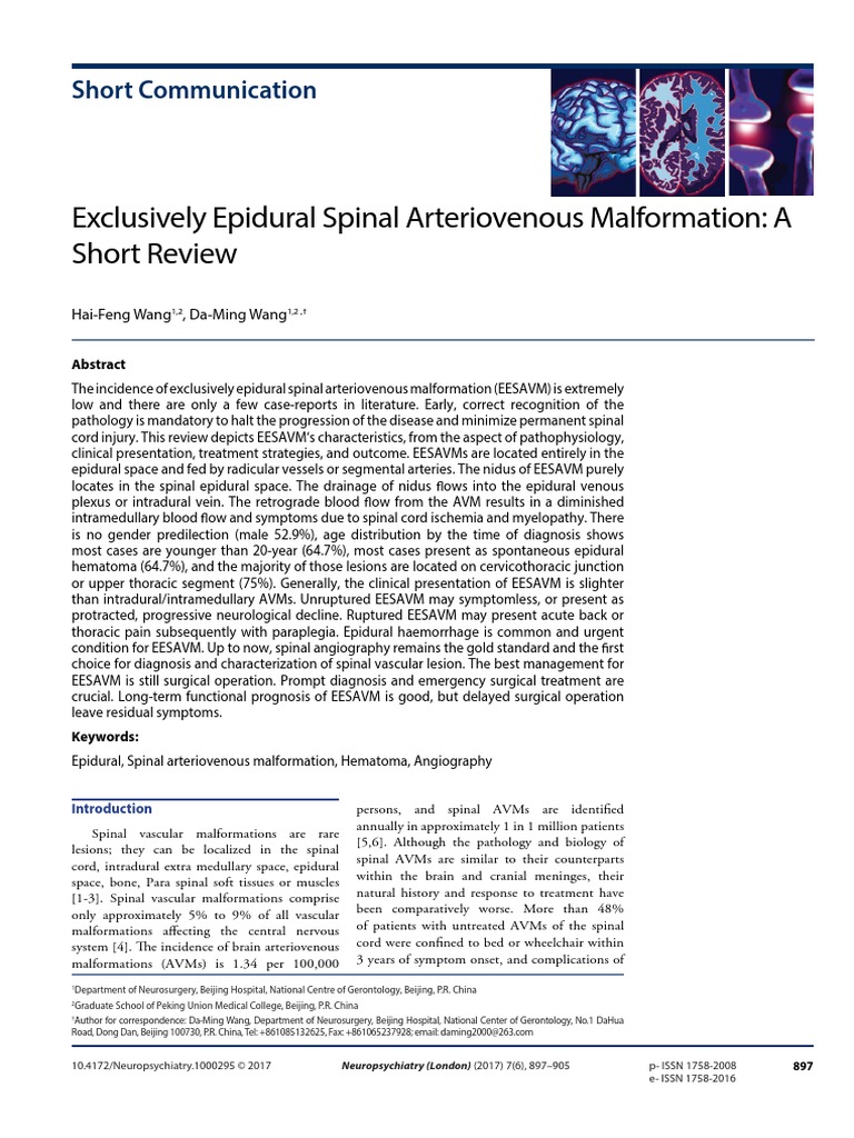 Exclusively Epidural Spinal Arteriovenous Malformation A Short Review ...