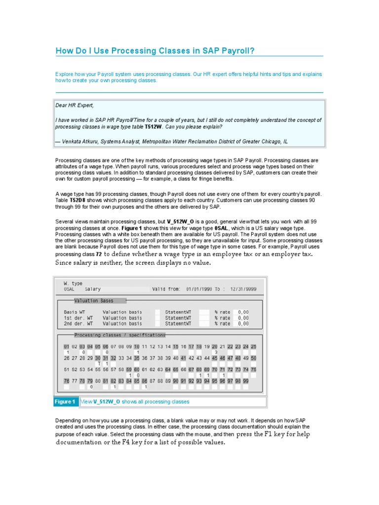 Payroll Processing Classes Valuation Basis Wage Types Etc PDF